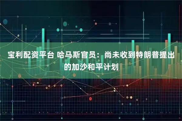 宝利配资平台 哈马斯官员：尚未收到特朗普提出的加沙和平计划