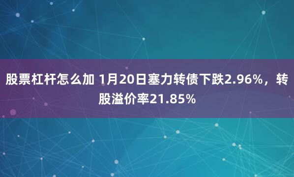 股票杠杆怎么加 1月20日塞力转债下跌2.96%，转股溢价率21.85%