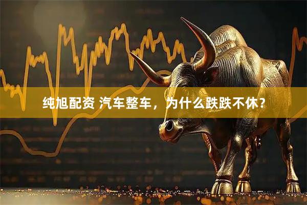 纯旭配资 汽车整车，为什么跌跌不休？